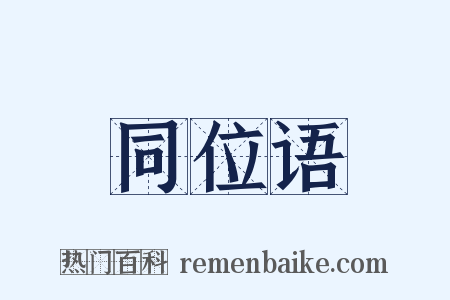 同位语是什么意思的图片